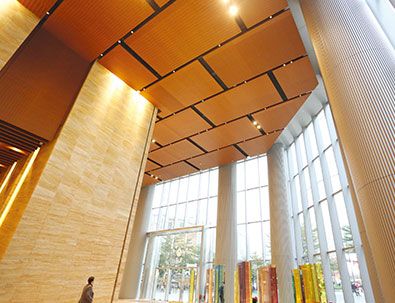 【德普龍】鋁單板吊頂DPL-002